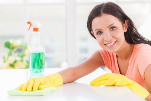 Domestic cleaning service for a W1T apartment living room