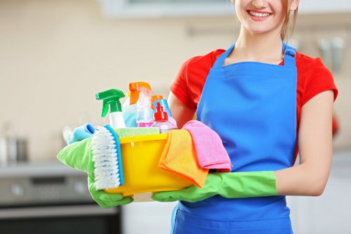 Regular cleaning service for homes and flats in W1T