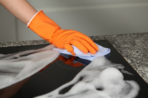 Targeted cleaning of pet accidents on upholstery in central London