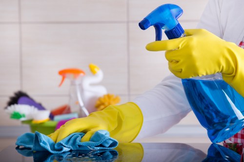 Professional gutter cleaning for homes and flats in W1T