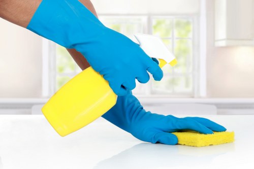 Professional upholstery cleaning for a sofa in a W1T flat