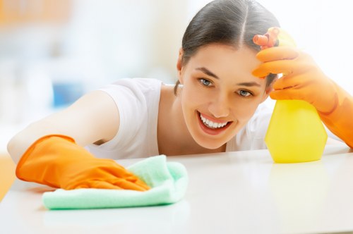 Professional oven cleaning service for W1T homes and flats