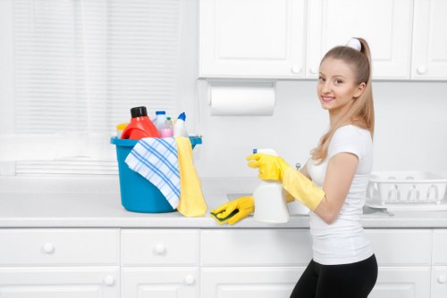 Professional rug cleaning service for homes and businesses in W1T