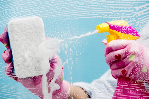 Carpet cleaner reviewing a service issue