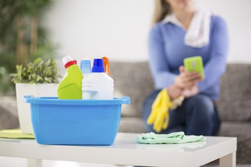 Detailed deep cleaning service covering hard-to-reach areas in W1T