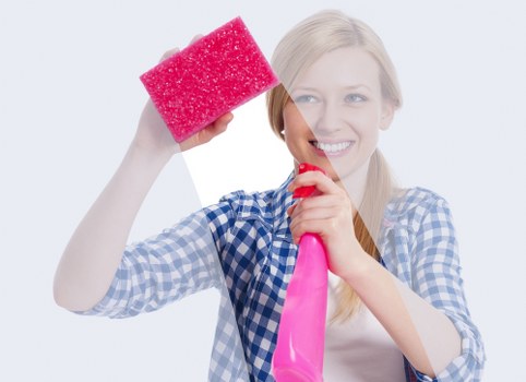 Neat window cleaning service for a flat or managed block in W1T