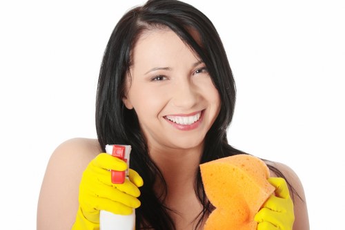 Local oven cleaning for range cookers and built-in appliances in W1T